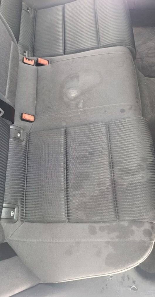 Zadnja klop z madeži na oblazinjenju – pred